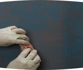 Person dabbing paint onto wall with rag